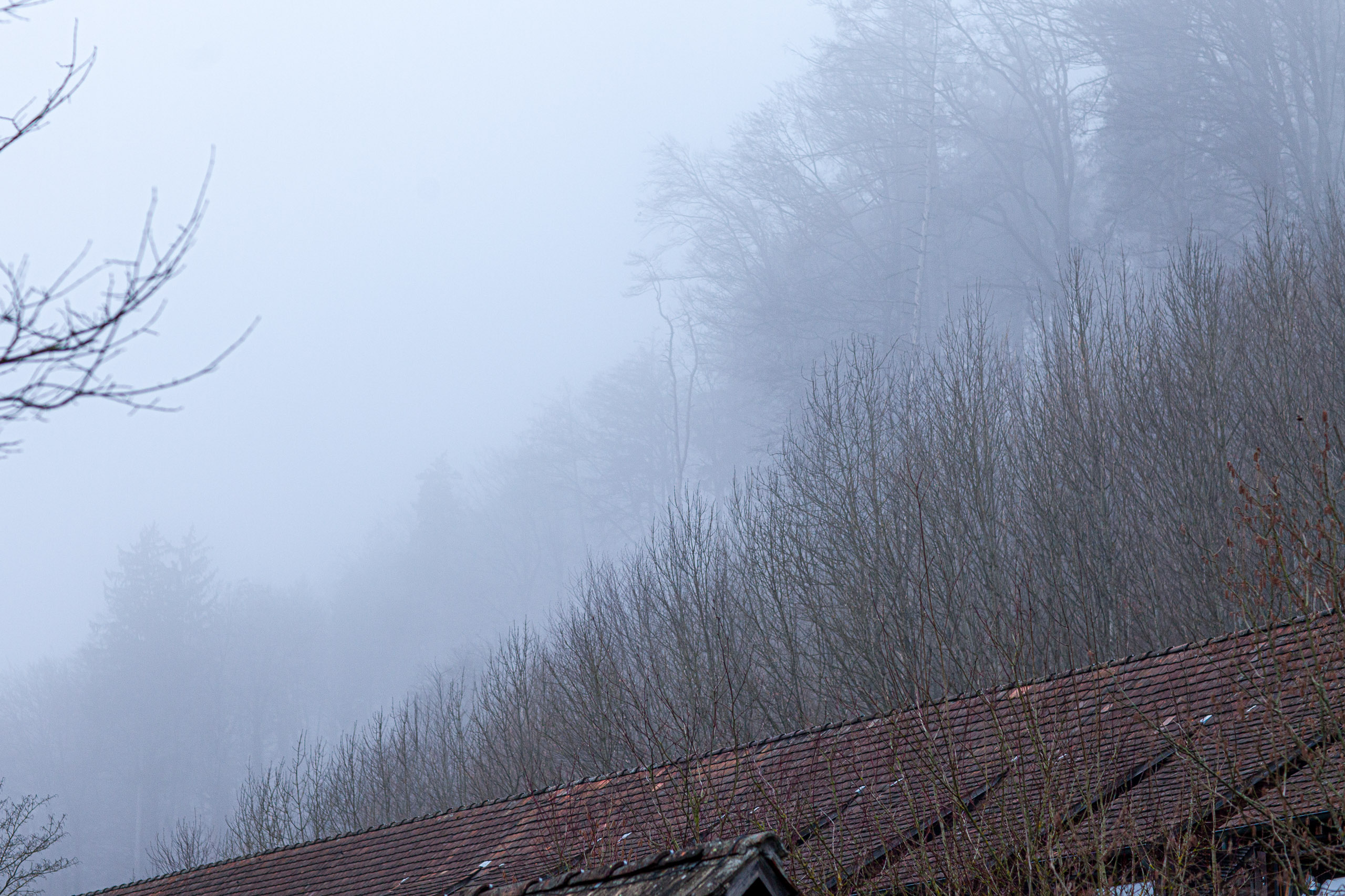 20120225073612 IMG 3336